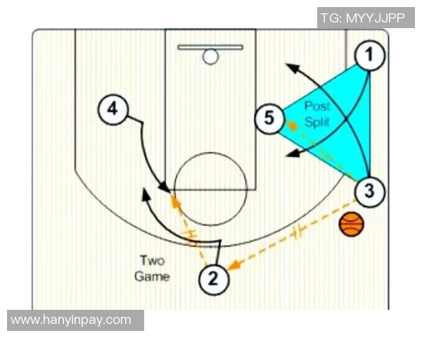 成都排球队的转换打法深度解析与战术应用探讨